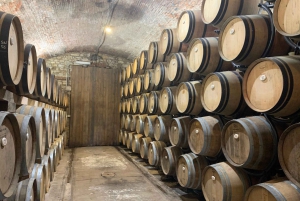 Florence: Pisa, Siena, San Gimignano, and Chianti Experience