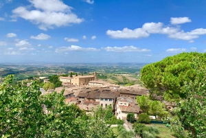 Florence: Pisa, Siena, San Gimignano, and Chianti Experience