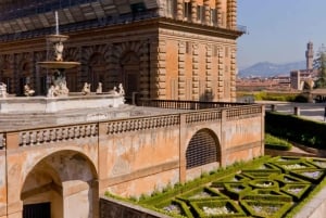 Firenze: Pitti Palace og Boboli Gardens guidet tur