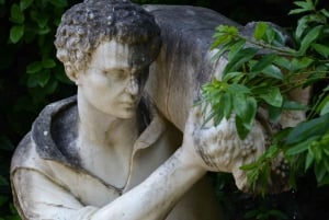 Firenze: Pitti Palace og Boboli Gardens guidet tur
