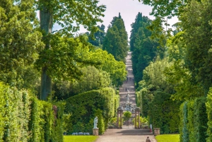 Firenze: Pitti Palace og Boboli Gardens guidet tur