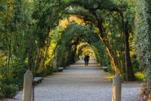 Firenze: Pitti Palace og Boboli Gardens guidet tur