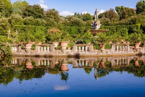 Firenze: Pitti Palace og Boboli Gardens guidet tur