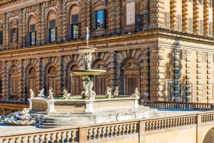 Firenze: Pitti Palace og Boboli Gardens guidet tur