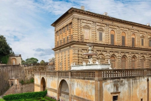Firenze: Pitti Palace og Boboli Gardens guidet tur