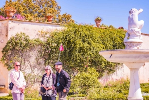 Флоренция: Экскурсия с гидом по дворцу Питти и садам Боболи