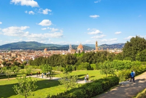 Флоренция: Экскурсия с гидом по дворцу Питти и садам Боболи