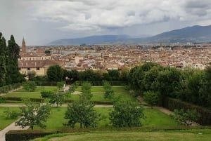 Florence: Pitti Palace and Boboli Gardens Private Tour