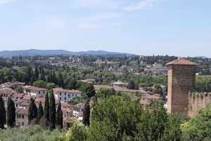 Florence: Pitti Palace and Boboli Gardens Semi-Private Tour