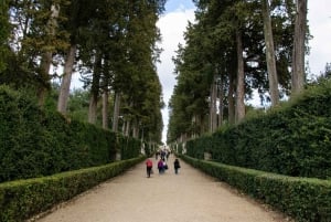 Firenze: Pitti-paladset og Boboli-haven på en vandretur