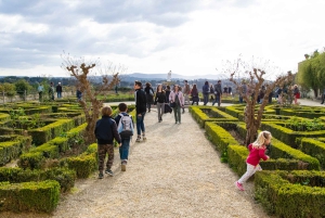 フィレンツェピッティ宮殿とボーボリ庭園ウォーキングツアー