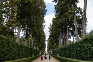 フィレンツェピッティ宮殿とボーボリ庭園ウォーキングツアー