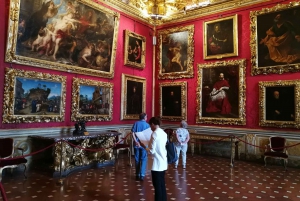 Florence: Pitti Palace and Palatina Gallery Guided Tour