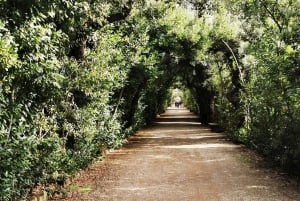 Florencia: Palacio Pitti, Jardín de Boboli, Visita a la Galería Palatina