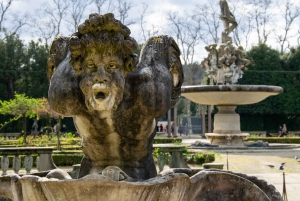Florence: Pitti Palace and Boboli Gardens Walking Tour