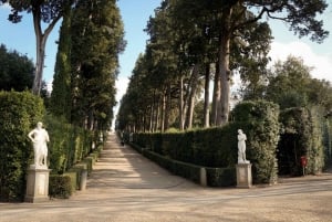 Firenze: Biglietto d'ingresso a Palazzo Pitti e tour guidato a piedi