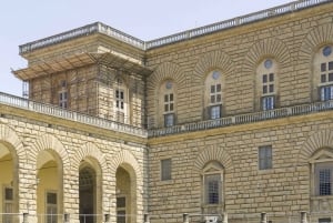 Florens: Inträde till Pitti-palatset och guidad rundtur