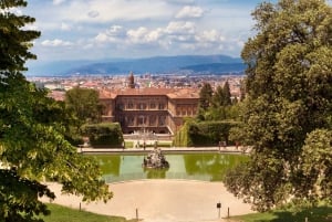Firenze: Biglietto d'ingresso a Palazzo Pitti e tour guidato a piedi
