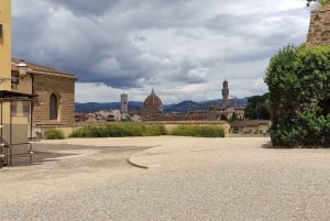 Florence: Pitti Palace Small Group Tour