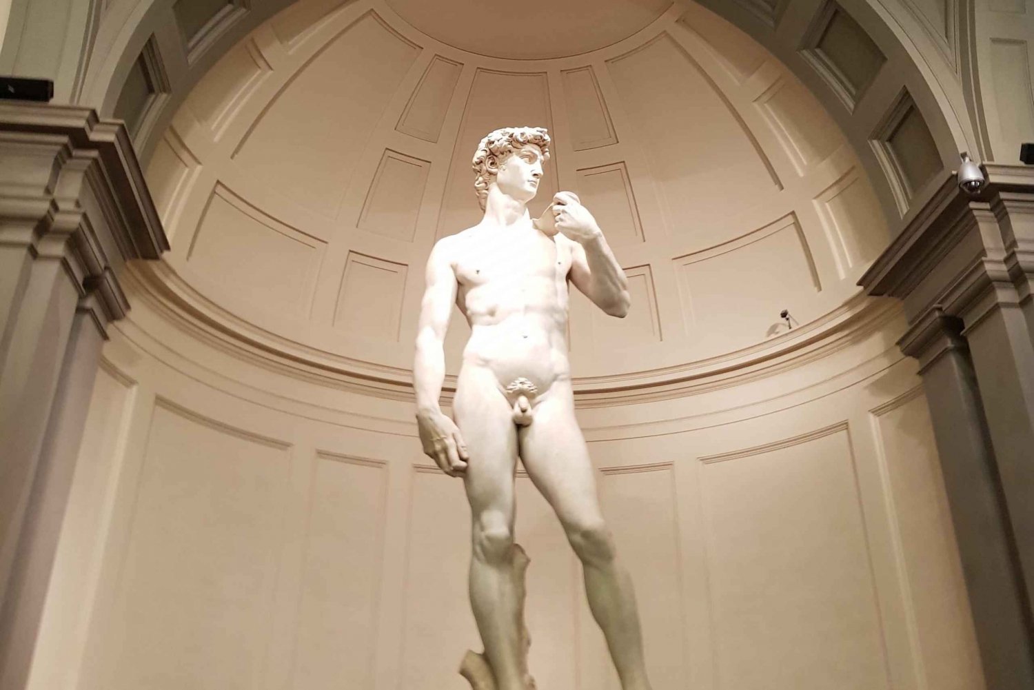 Firenze: Yksityinen Accademia-galleriakierros