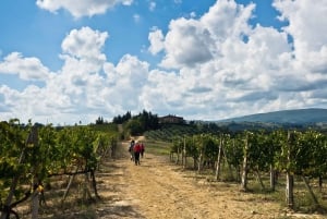 Florence: Private Chauffer Hire Chianti Wine Region