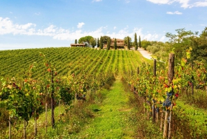 Florence: Private Chauffer Hire Chianti Wine Region