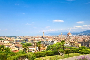 Florence: Private Chauffered & Guided Tour with Accademia