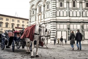 Florence: Private Chauffered & Guided Tour with Accademia