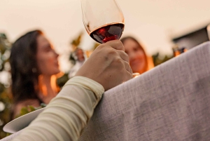 Firenze: tour privato a cavallo nel Chianti con degustazione di vini e pranzo