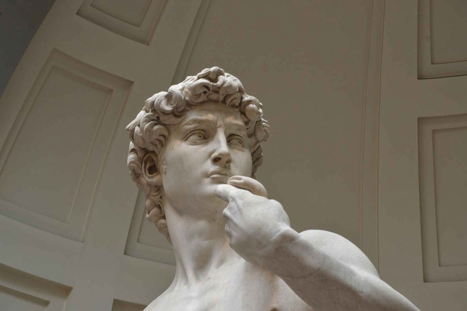 Florenz: Private Stadtführung mit Accademia & Uffizien