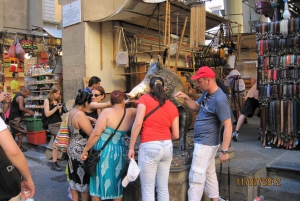 Florença: excursão particular a pé pela cidade