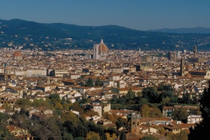 Florence : Visite privée de 2 heures des collines en vélo électrique