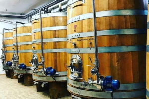 Florence: Private Full-Day Brunello Wine Tour to Montalcino