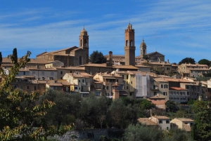Florencia: Tour privado de vino Brunello de día completo a Montalcino