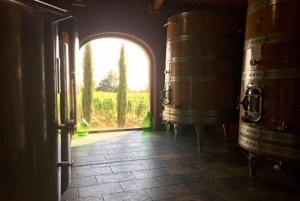 Firenze: Yksityinen koko päivän Brunello-viinikierros Montalcinoon