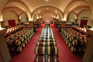 Florence: visite privée d'une journée complète des vins de Brunello à Montalcino