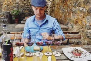 Firenze: tour privato del vino Brunello di un'intera giornata a Montalcino