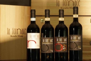 Florencia: Tour privado de vino Brunello de día completo a Montalcino