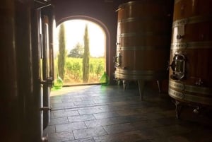 Florencja: Prywatna całodniowa wycieczka po winie Brunello do Montalcino