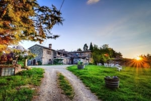 Florencja: Prywatna całodniowa wycieczka po winie Brunello do Montalcino