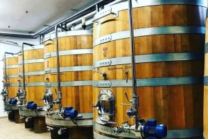 Florencja: Prywatna całodniowa wycieczka po winie Brunello do Montalcino