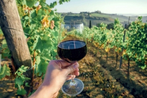 Florens: Privat heldagsutflykt till Chianti-vinregionen