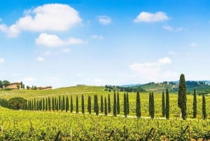 Firenze: tour privato di un'intera giornata nella regione vinicola del Chianti