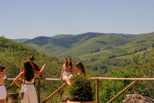 Florence : Visite privée d'une journée complète dans la région viticole du Chianti