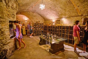 Florenz: Private Ganztagestour in die Chianti-Weinregion
