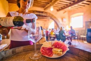 Florença: excursão privada de dia inteiro à região vinícola de Chianti
