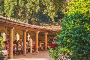 Florencja: Prywatna całodniowa wycieczka do regionu winiarskiego Chianti
