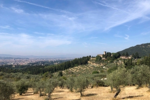 Private Hiking Florence Tour with Wine and Lunch or semi-pri