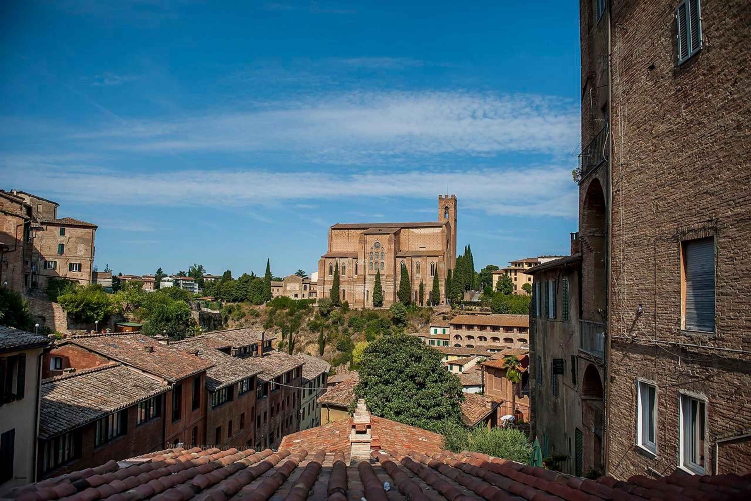 Firenzen YKSITYINEN/OSITTAIN YKSITYINEN kierros: Siena, San Gimignano ja Pisa