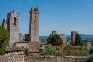 Firenzen YKSITYINEN/OSITTAIN YKSITYINEN kierros: Siena, San Gimignano ja Pisa